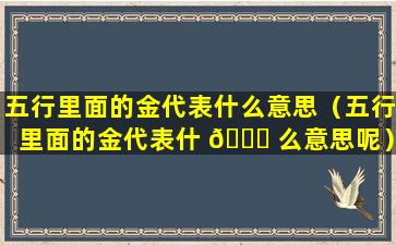 五行里面的金代表什么意思（五行里面的金代表什 🍁 么意思呢）